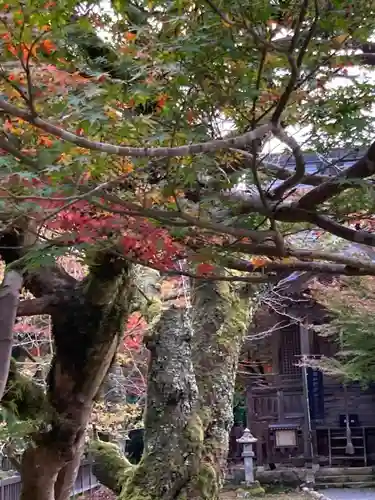 感応殿のその他建物