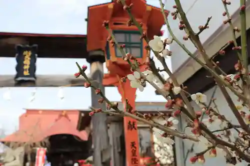 大鏑神社の景色