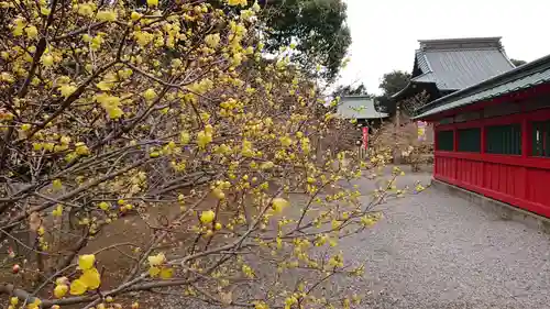 板倉雷電神社のその他建物