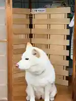 宗忠神社(京都府)