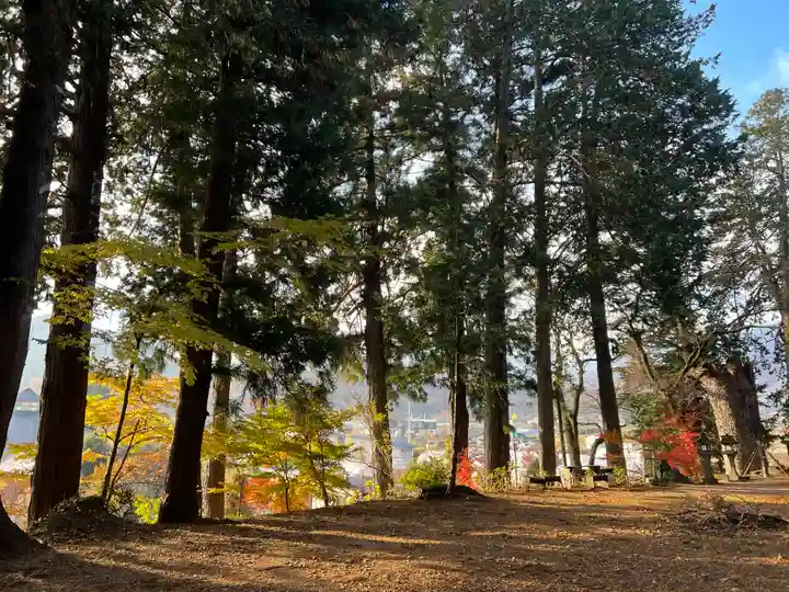 若宮八幡神社の自然