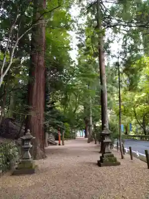 丹生川上神社（中社）(奈良県)
