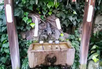 四谷於岩稲荷田宮神社の手水舎