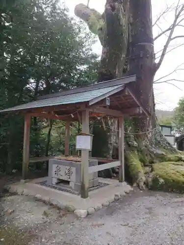 國津神社の手水舎