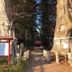 智賀都神社の建物その他