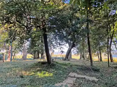 敬満神社の自然