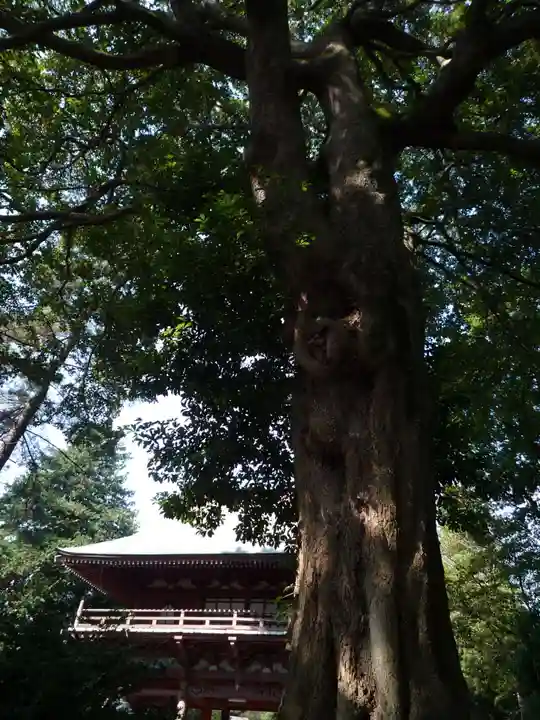 東昌寺(茨城県)