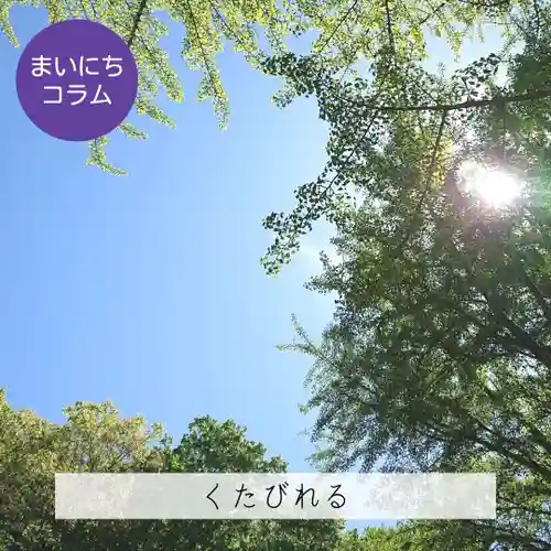 壽徳寺 じゅとくじ(福島県)