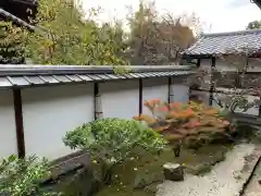 隨心院（随心院）の庭園