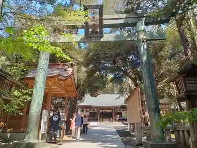 平塚八幡宮の鳥居