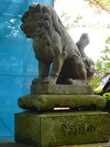 大宮五十鈴神社の狛犬