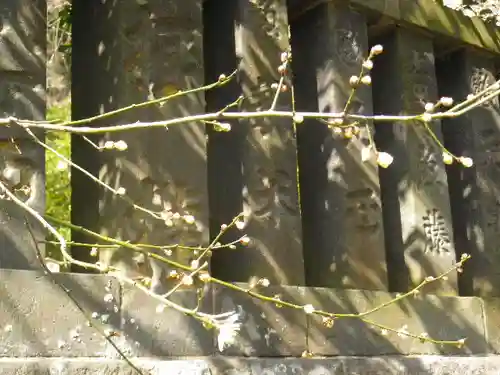 御霊神社の自然