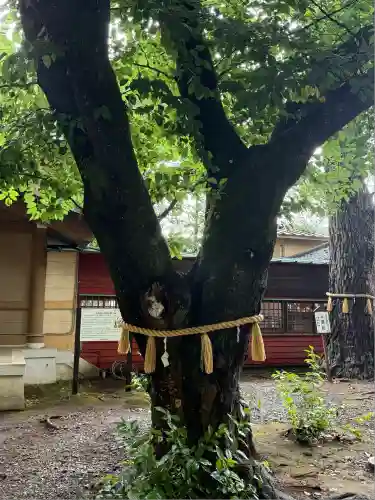 前原御嶽神社(千葉県)
