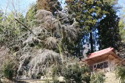 関場神社の景色