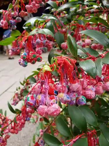 赤坂氷川神社の自然