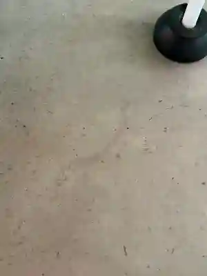 針名神社(愛知県)