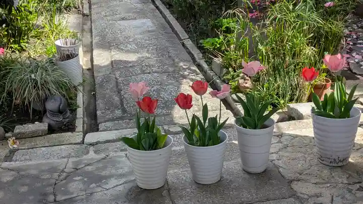 西方寺(京都府)