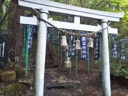 日枝神社の鳥居