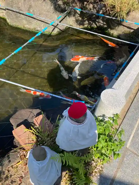 興徳寺(大阪府)