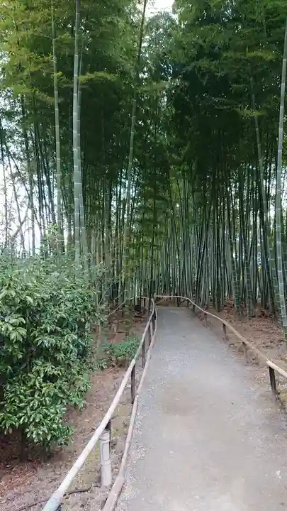 高台寺(高台寿聖禅寺・高臺寺)(京都府)