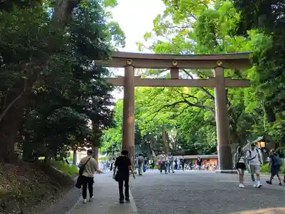 明治神宮(東京都)