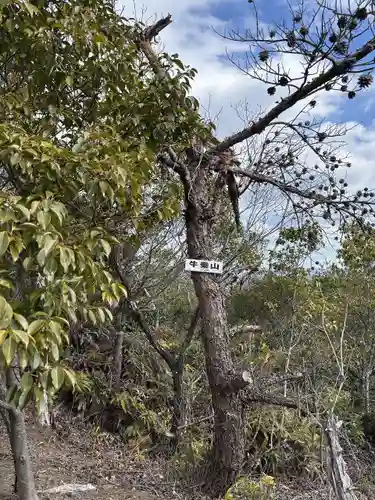 一畑山薬師寺 岡崎本堂(愛知県)