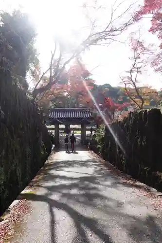 興聖寺（興聖寶林禅寺）の景色