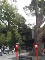 來宮神社(静岡県)