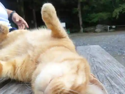 小松寺(千葉県)