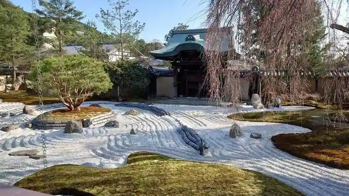 高台寺(高台寿聖禅寺・高臺寺)の庭園