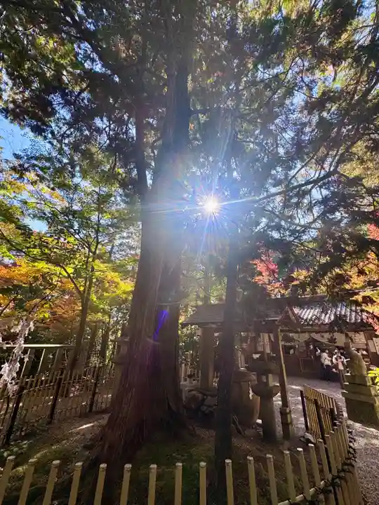 猿丸神社(京都府)
