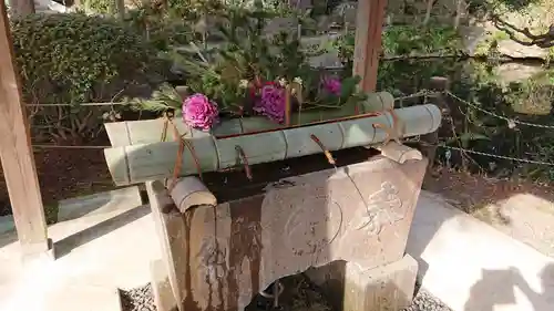 貫井神社の手水舎