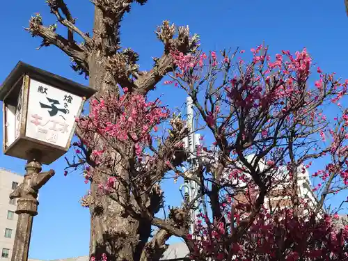 大國神社(東京都)