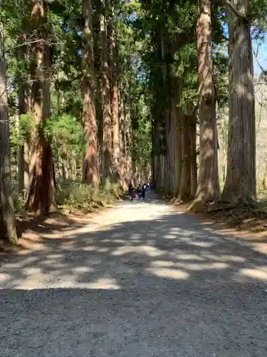 戸隠神社奥社の周辺