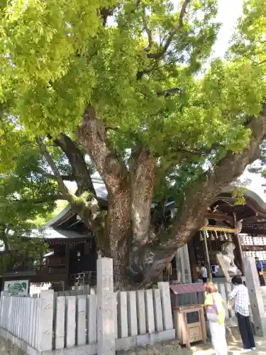 石切劔箭神社(大阪府)