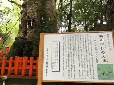新田神社(鹿児島県)