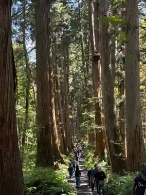 戸隠神社九頭龍社(長野県)