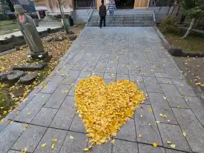 総持寺祖院の{uncategorized: "未分類", other: "その他", undefined: "問題あり", building: "その他建物", grave: "お墓", sacred_gate: "鳥居", guardian: "狛犬", statue: "像", buddha: "仏像", history: "歴史", nature: "自然", garden: "庭園", animal: "動物", pagoda: "塔", temizu: "手水舎", mountain_gate: "山門・神門", sanctuary: "本殿・本堂", subordinate: "末社・摂社", art: "芸術", scenery: "景色", jizo: "地蔵", ema: "絵馬", goshuin: "御朱印", omikuji: "おみくじ", items: "授与品その他", amulet: "お守り", goshuincho: "御朱印帳", eats: "食事", festival: "お祭り", votive_dance: "神楽", shichigosan: "七五三参", wedding: "結婚式", experience: "体験その他", initially: "初詣", around: "周辺", anti_infection: "感染症対策"}