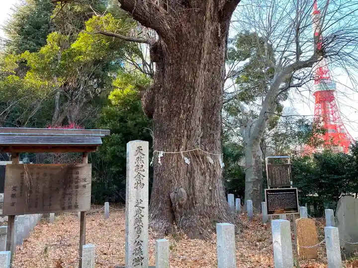芝東照宮の自然