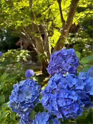 珍蔵寺　(山形県)