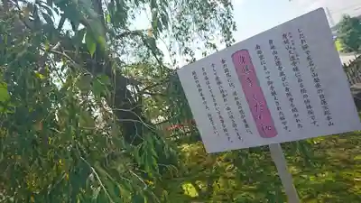 身照寺のその他建物