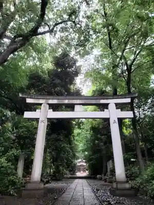 代々木八幡宮の鳥居