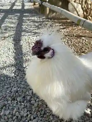 高屋敷稲荷神社(福島県)
