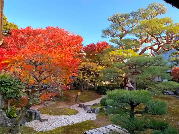妙顯寺(妙顕寺)(京都府)