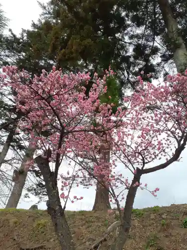 鶴ケ城稲荷神社の自然