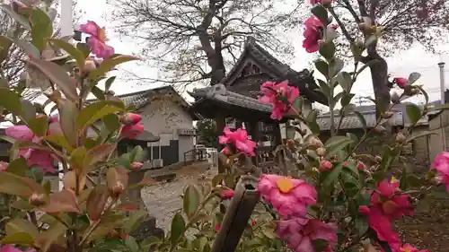 大手神社の自然