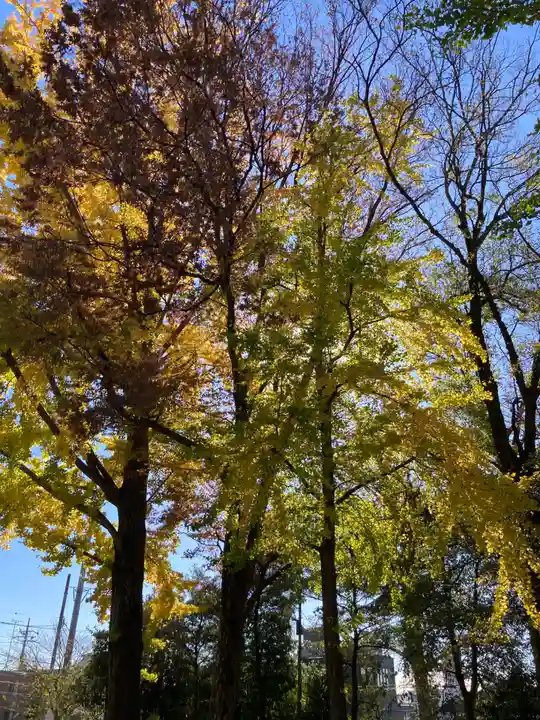 北澤八幡神社(東京都)