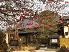 法源寺の建物その他