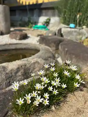 潮音寺(兵庫県)