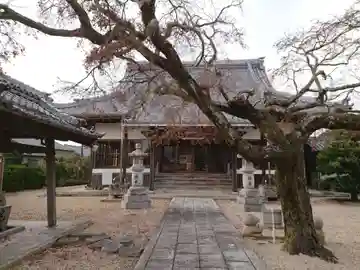 安正寺の本殿・本堂